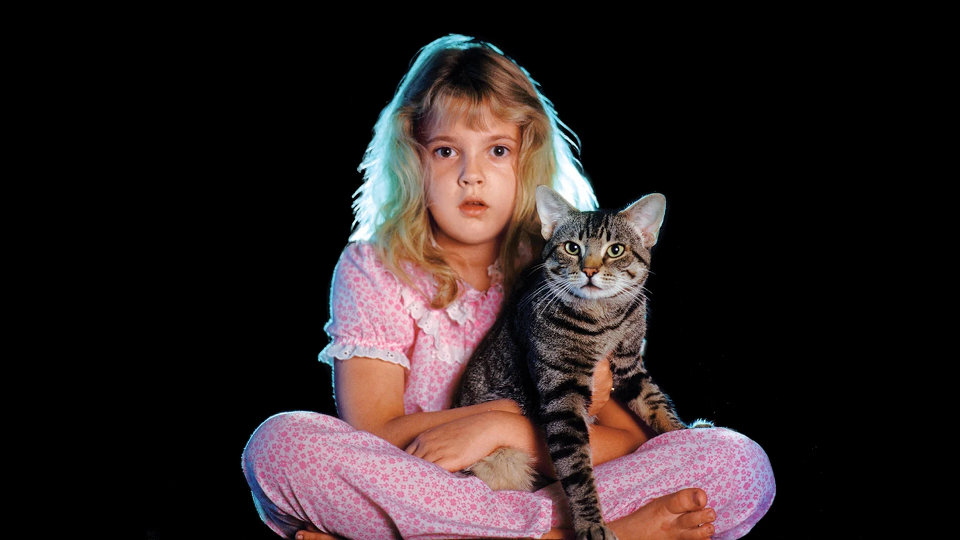 El ojo del gato