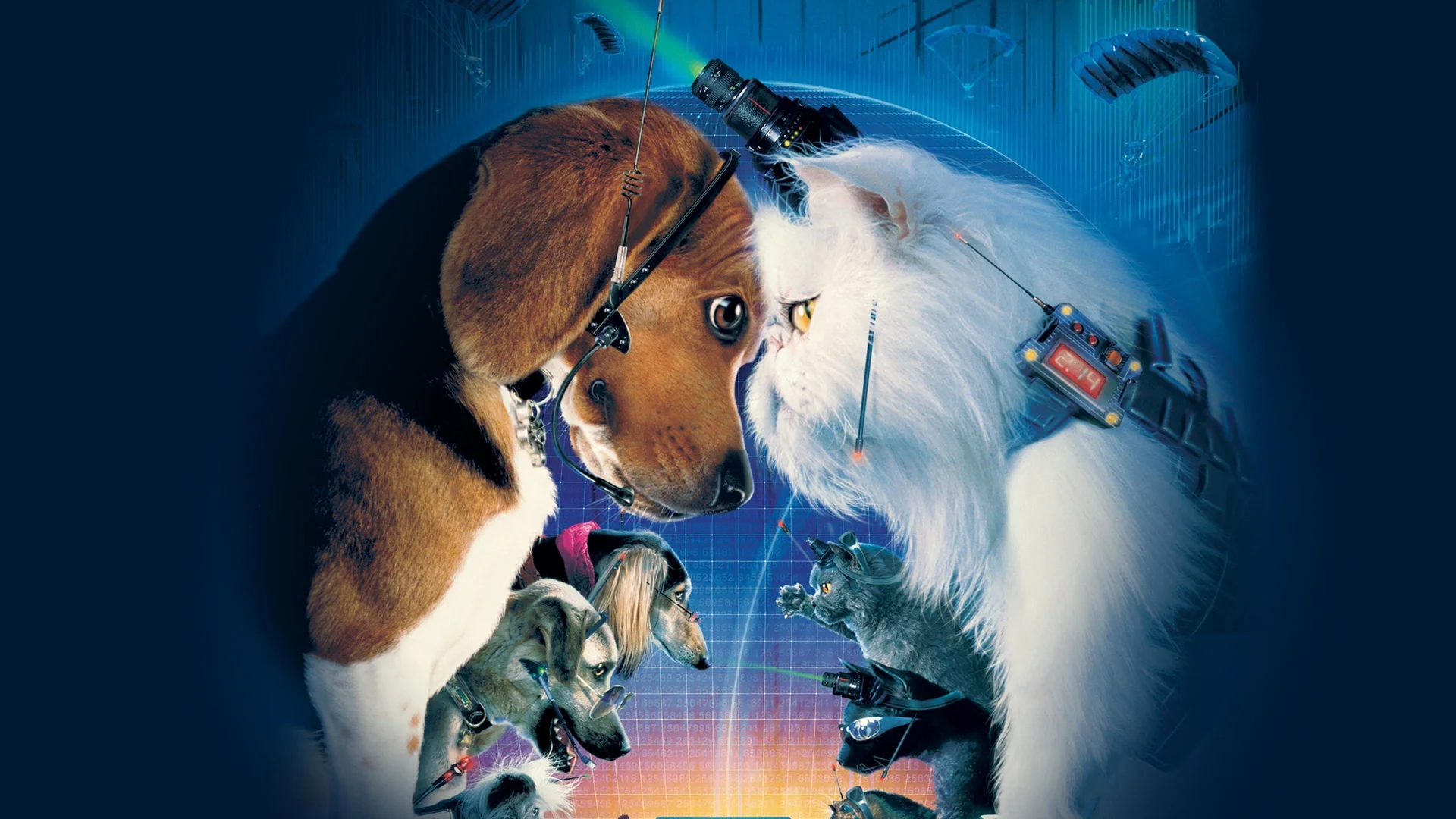 Como perros y gatos