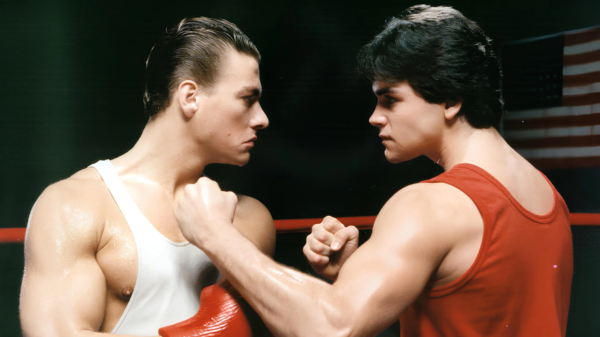 Retroceder nunca, rendirse jamás