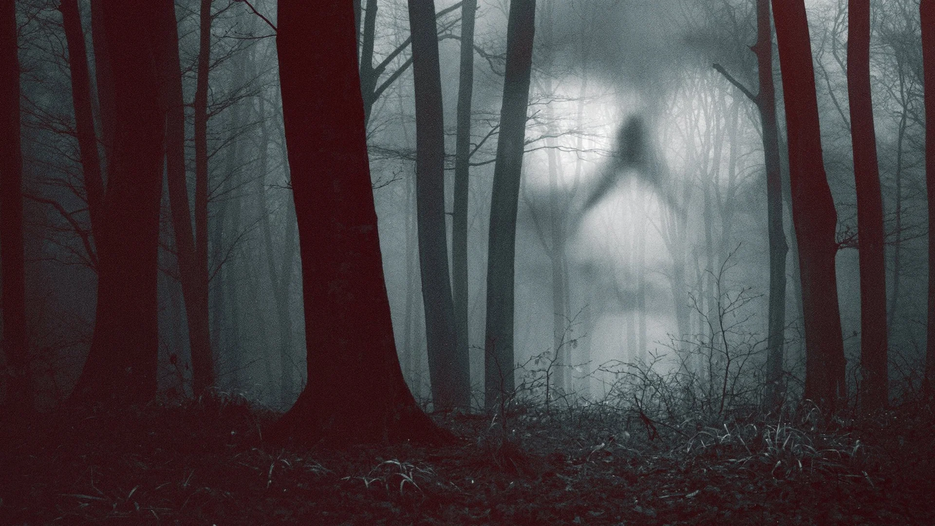 28 Días Paranormales