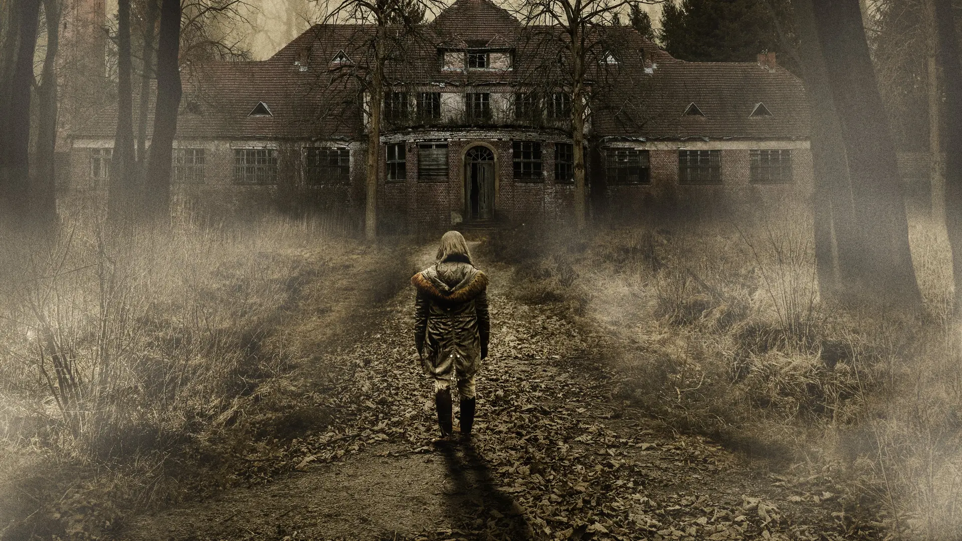 El manicomio: la cuna del terror