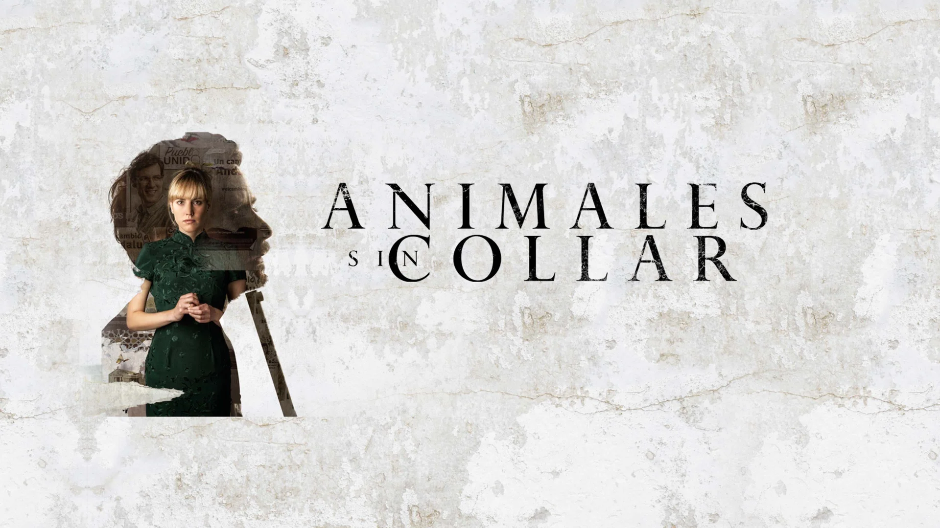 Animales sin collar