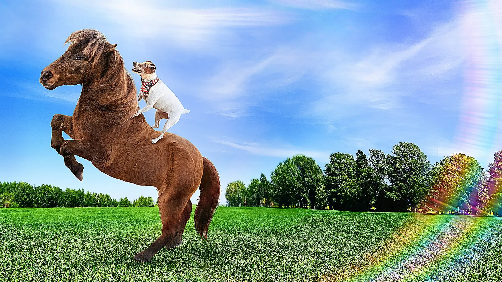 Las aventuras de Dally y Spanky