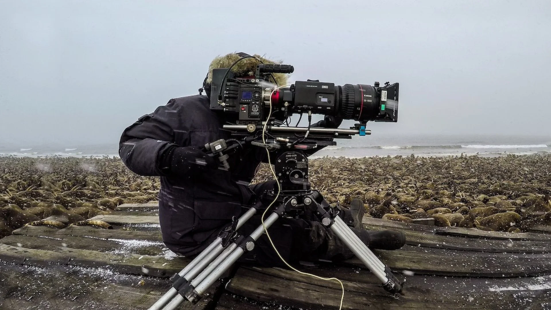 Nuestro Planeta: Tras las cámaras