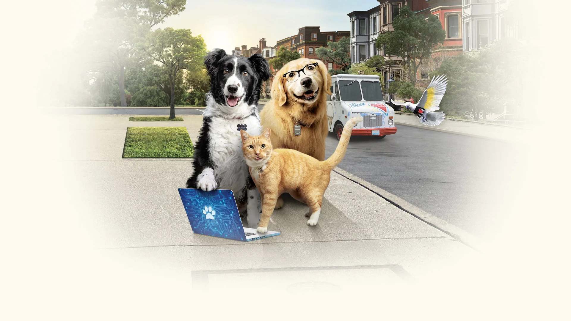 Como perros y gatos: La patrulla unida