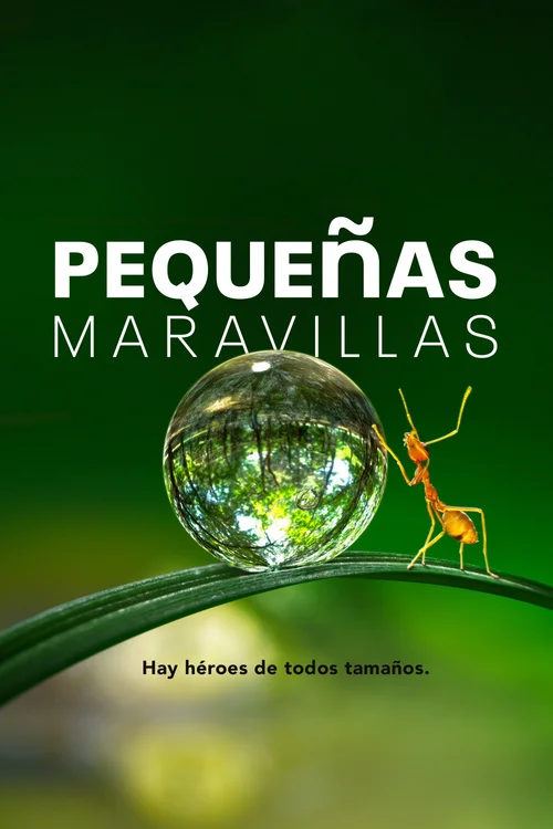 Micromundos