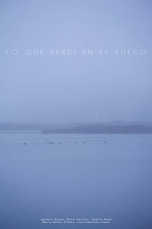Lo que perdí en el fuego